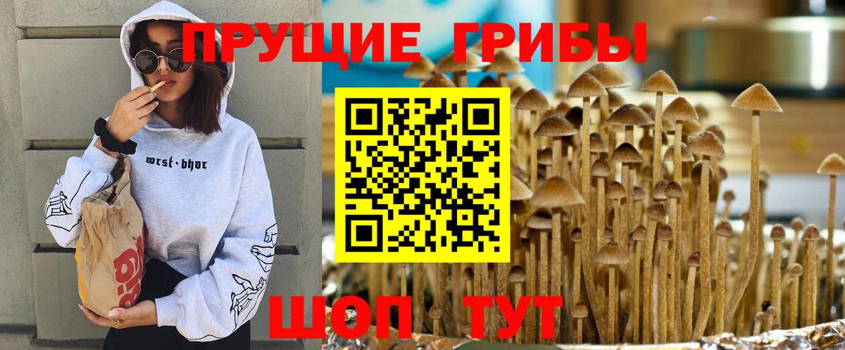 купить закладку  Вход с VPN  Качканар  Галлюциногенные грибы Cubensis  Псилоцибиновые грибы мухоморы 